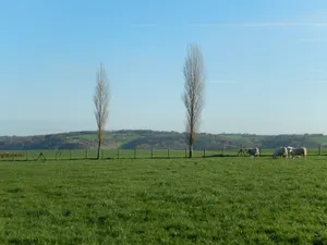 Image of Studio du gite