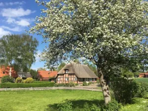 Image of Haus Ruhe unter Reet