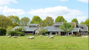 Image of Luxury apartment in Diever Drenthe near three nature parks New at VRBO