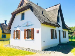 Image of Modern Thatched Cottage by the sea