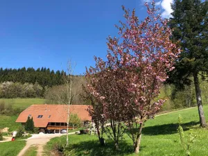 Image of Langmichelhof - Apartment 32sqm, 1 living room \/ bedroom