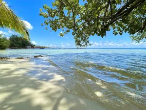 Image of 3BR 3BA private beach Villa w\/ kayaks +1-acre-tropical garden
