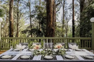 Image of Modern Seednest Treehouse, Forest & Mountain View