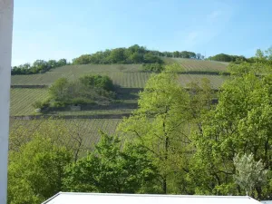 Image of Holiday apartment Rüdesheim am Rhein for 1 - 2 persons with 1 bedroom - Holiday apartment in one or