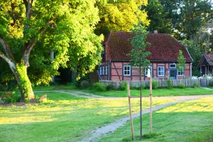 Image of Idyllic holiday home on a listed farm