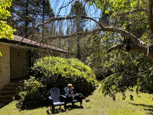 Image of Zelma's Cottage - Leura Escape