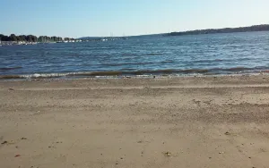 Image of Last Minute Getaway, Walk Acoss the Street to the Beach!  Close to everything!
