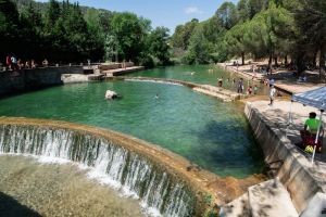 Image of Bastidon, gîte in a peaceful setting between olive trees and swimming pool