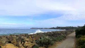 Image of Bay Bright