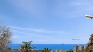 Image of Ocean Outlook 5