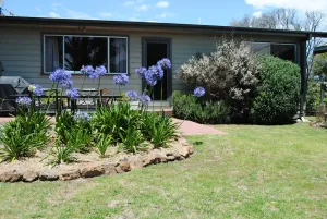 Image of Gray Cottage, Eden, New South Wales