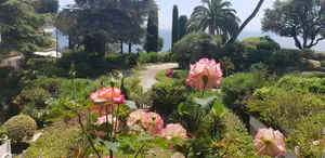 Image of Superb apartment completely renovated with views and direct access to the sea!