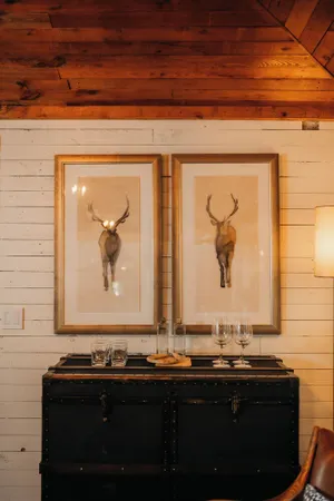 Image of Stylish Hill Country cottage 3 blocks to Main