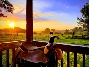 Image of BEAUTIFUL PLACE! Relaxing, Peaceful, Meticulous Cleaned.  Pool, Firepit, Grill