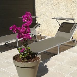Image of maisonnette 30 m2 in ownership