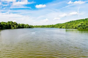 Image of Dog Friendly | Firepit | Sunroom | Public Boat Launch | Close to Downtown Loudon & Marina