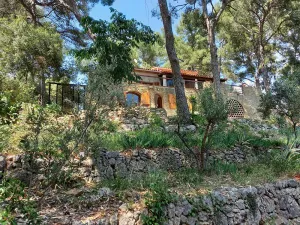 Image of LES PINS