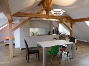 Image of Top modern 2-bedroom penthouse apartment in Bern - Beautiful flat roof in Berne City