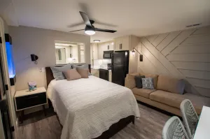 Image of Modern Basement Studio with Private Entrance