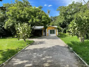 Image of Cozy holiday Home near all things Tampa Bay!