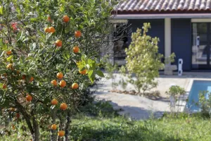 Image of Villa with private pool, ideal for families