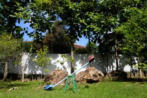 Image of Maggie Garden Hostel