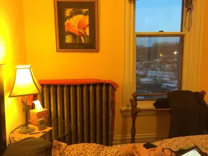 Image of Private room in shared home with full kitchen, living room, and yoga space.