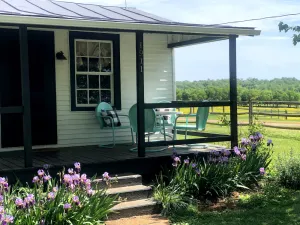 Image of Bloomingdale Honeymoon Cabin w/Mountain/Barn Views