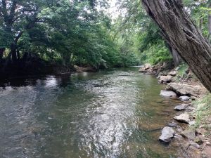 Image of Tranquil Creekside Mountain View Getaway