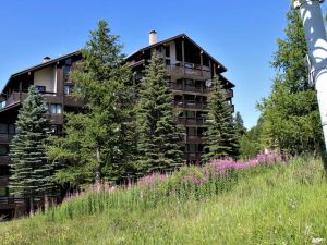Image of Apartment Risoul, studio flat, 4 persons