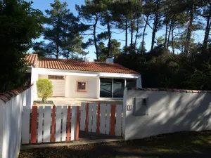 Image of Charmante maison rénovée en lisière de forêt, 600m de la plage, 2 jardins clos, confort moderne - FR-1-323-371