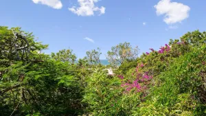Image of Villa Vista