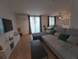 Image of Aurore's cocoon
