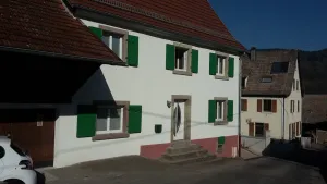 Image of Apartment with garden in Alsace