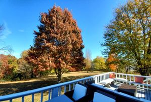 Image of Relax in nature at this peaceful 35 acre hilltop country estate.