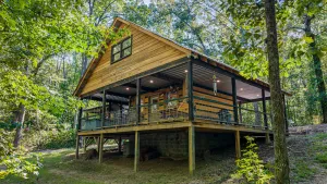 Image of Live in the Sunshine breathe the Mtn Air on Lookout Mtn! hot tub,fire-pit!