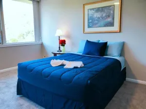 Image of Downtown Apartment conveniently located to all!