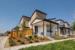 Image of Brand new and Modern Central Park Denver home