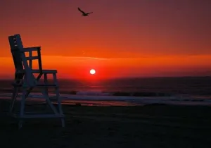Image of Lazy Whale - 1 Bedroom Oceanside Condo - 5 Star Reviews