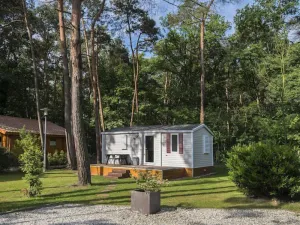 Image of Holiday Home De Brenkberg-1 by Interhome