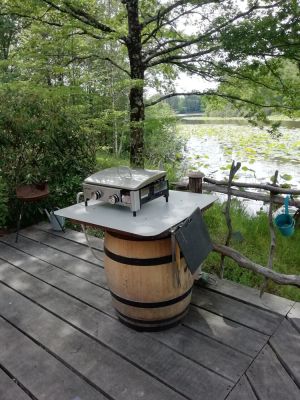 Image of Chalet on the edge of a pond in a site where nature is preserved.fishing, canoes.