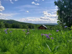 Image of Secluded Log Cabin, 30 min from Chena Hot Springs
