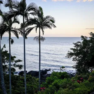 Image of \"Havana\" 1 of Queensland's most iconic beach houses - Port Douglas Beach House
