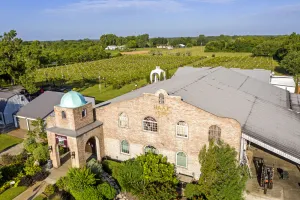 Image of The Winery Villa