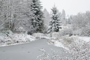 Image of Vrbo Property