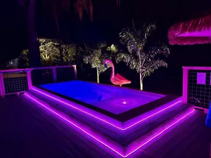 Image of SaltwaterPool|DogOk|8PPL|OldHomosassa|FencedYard