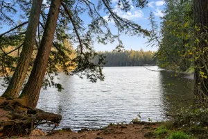 Image of Lake View House with Beautiful 4.5 Acres to Explore