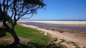 Image of Bush block and ocean! A winner- trees, wildlife and the sound of the ocean!