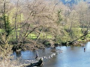 Image of La CABANE AUX ECREVISSES - LES PIEDS DANS L'EAU