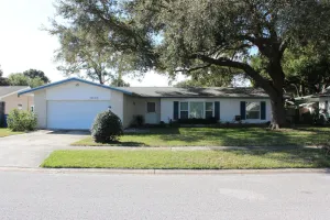 Image of Beautiful 3 bed 2 bath home by park